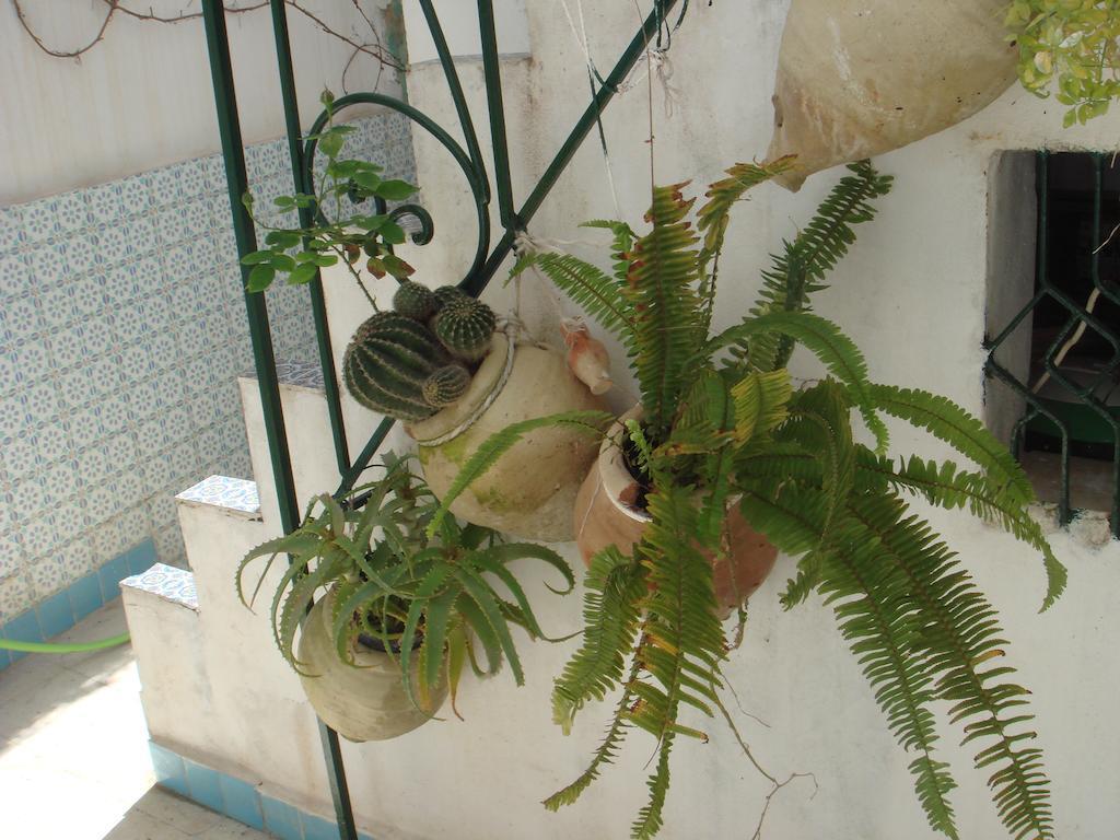 Bed and Breakfast Dar Warda à Bizerte Extérieur photo